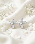 Ivory Petal Drop